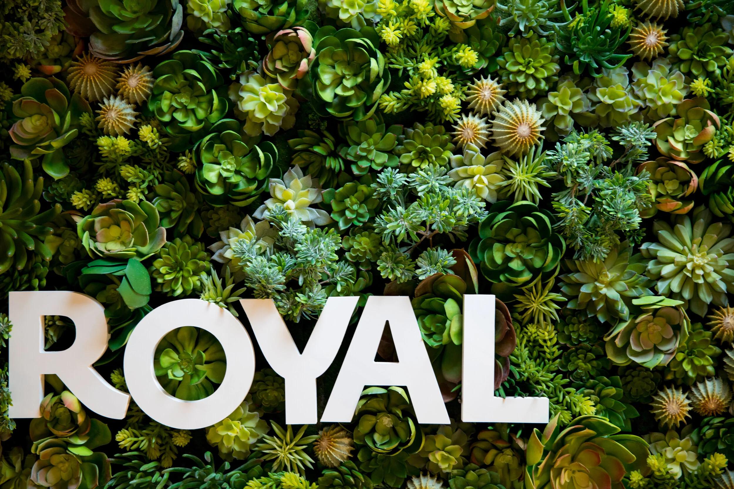 imagen principal del blog